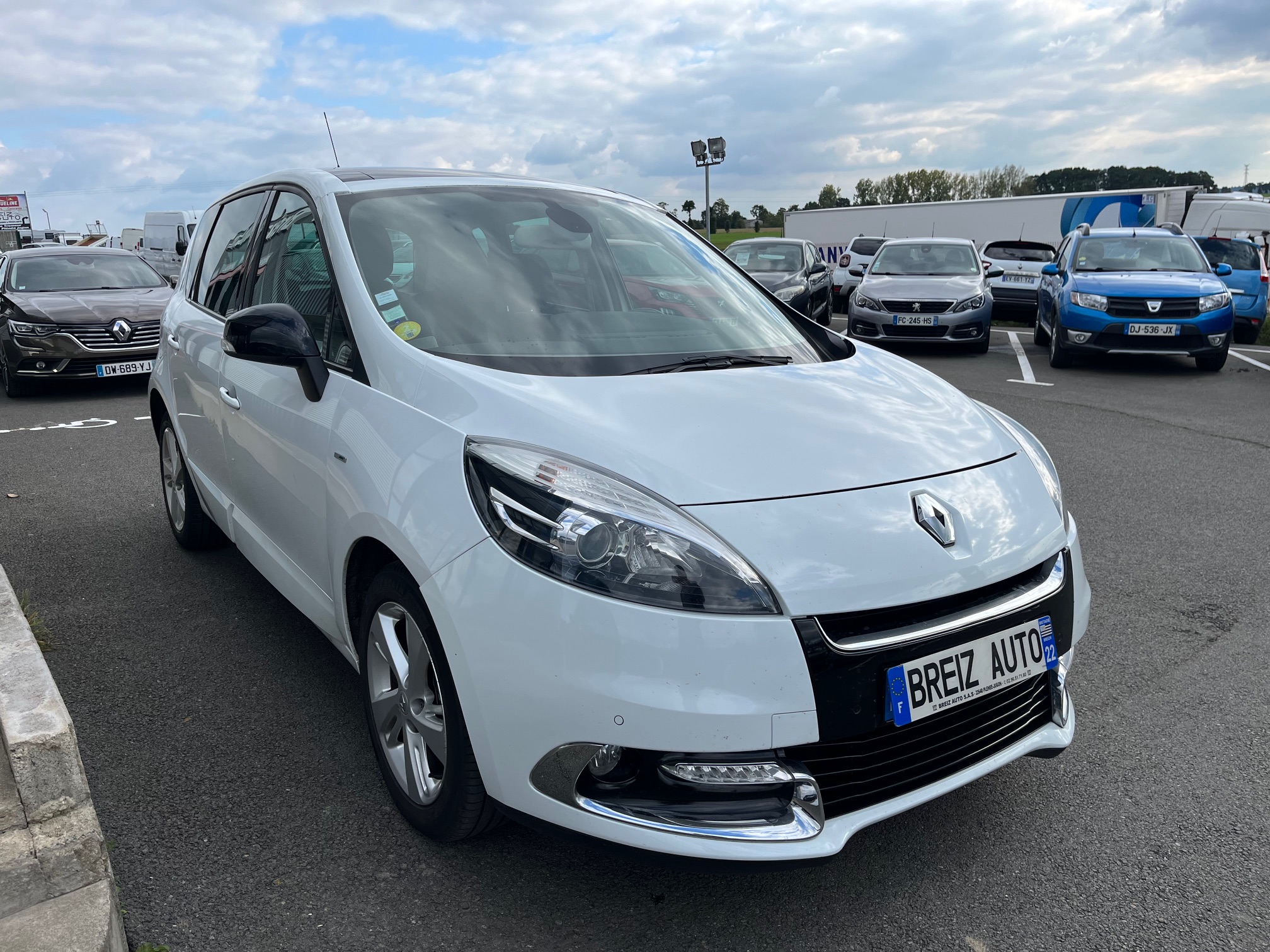 RENAULT  SCENIC III               